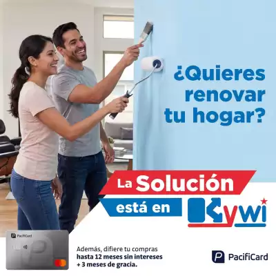 Kywi (válido hasta 31-08)