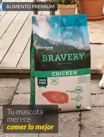 Catálogo Constructor Sodimac Página 2