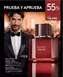 Catálogo Ésika Página 17