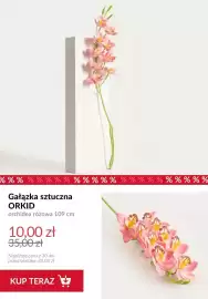 Homla gazetka tydzień 35 Strona 10: Gałązka sztuczna Orkid orchidea różowa 109 cm €10,00