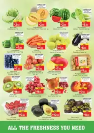 Nesto catalogue Page 2