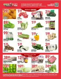 SunFood Supermarket flyer week 35 Page 5: Mini Cucumbers €0,79, White Chinese Celery €1,59