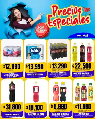 Catálogo Mercapava (válido hasta 1-09)