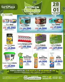 Catálogo Supermercados Surtiplaza Página 10