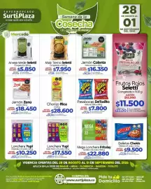 Catálogo Supermercados Surtiplaza Página 12