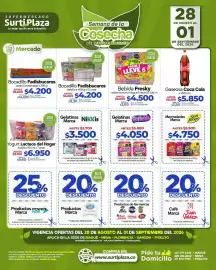 Catálogo Supermercados Surtiplaza Página 13