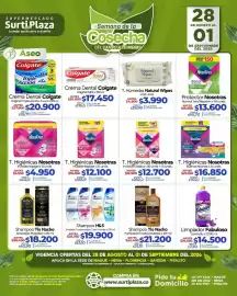 Catálogo Supermercados Surtiplaza Página 15