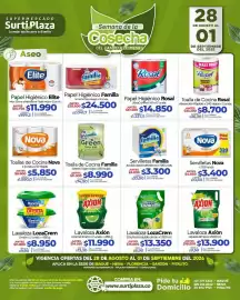 Catálogo Supermercados Surtiplaza Página 16