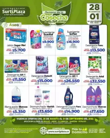 Catálogo Supermercados Surtiplaza Página 17