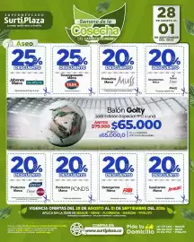Catálogo Supermercados Surtiplaza Página 18