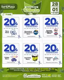 Catálogo Supermercados Surtiplaza Página 19