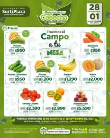 Catálogo Supermercados Surtiplaza Página 2