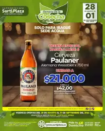 Catálogo Supermercados Surtiplaza Página 21