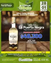 Catálogo Supermercados Surtiplaza Página 25