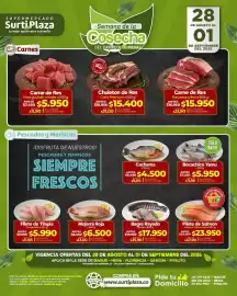 Catálogo Supermercados Surtiplaza Página 5