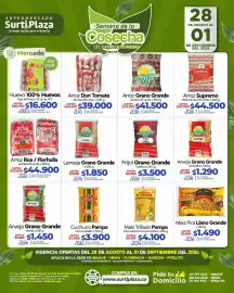 Catálogo Supermercados Surtiplaza Página 6