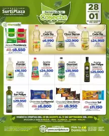 Catálogo Supermercados Surtiplaza Página 7
