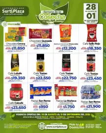 Catálogo Supermercados Surtiplaza Página 8