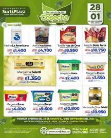Catálogo Supermercados Surtiplaza Página 9