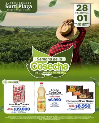 Catálogo Supermercados Surtiplaza (válido hasta 1-09)