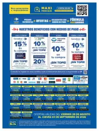 Folleto Carrefour Maxi semana 35 Página 13