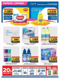 Folleto Carrefour Maxi semana 35 Página 4: Virulana - esponja multiuso cuidauna fibra €692,00