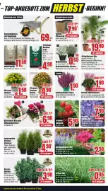 B1 Discount Baumarkt Prospekt woche 35 Seite 7