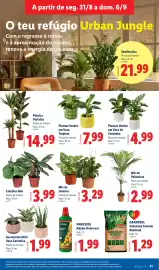 Folheto Lidl semana 36 Página 31: Plantas Verdes em Vaso de Cerâmica €4,99, Plantas Verdes em Vaso Tropical €7,99