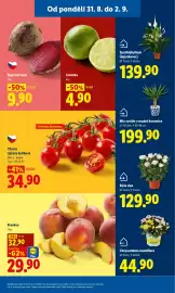 Lidl leták Strana 15
