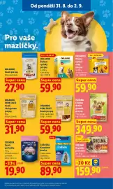 Lidl leták Strana 31