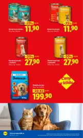 Lidl leták Strana 5
