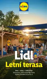 Lidl leták Strana 51