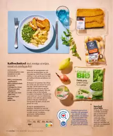Carrefour magazine | Back to cool Pagina 48