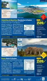 Lidl Reisen Prospekt Seite 31