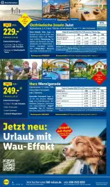 Lidl Reisen Prospekt Seite 4