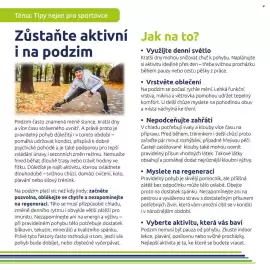 Benu leták Strana 11