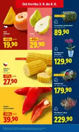 Lidl leták Strana 13