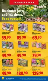 Lidl leták Strana 15