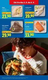 Lidl leták Strana 17