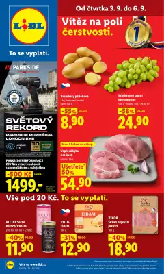 Lidl leták (platné do 6-09)
