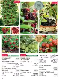 Starkl katalog Strana 10