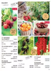 Starkl katalog Strana 11
