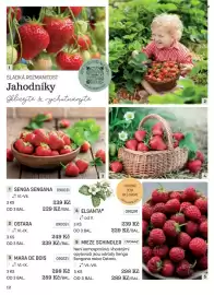 Starkl katalog Strana 12