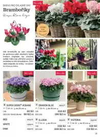 Starkl katalog Strana 13