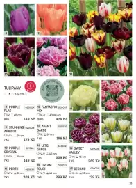 Starkl katalog Strana 15