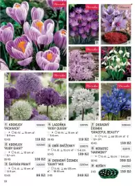 Starkl katalog Strana 16