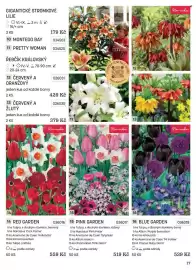 Starkl katalog Strana 17