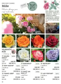 Starkl katalog Strana 18
