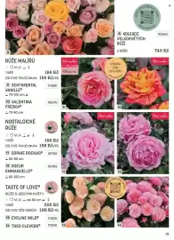 Starkl katalog Strana 19