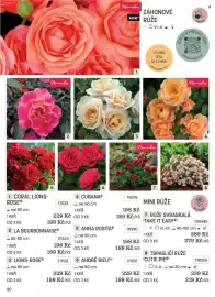 Starkl katalog Strana 20